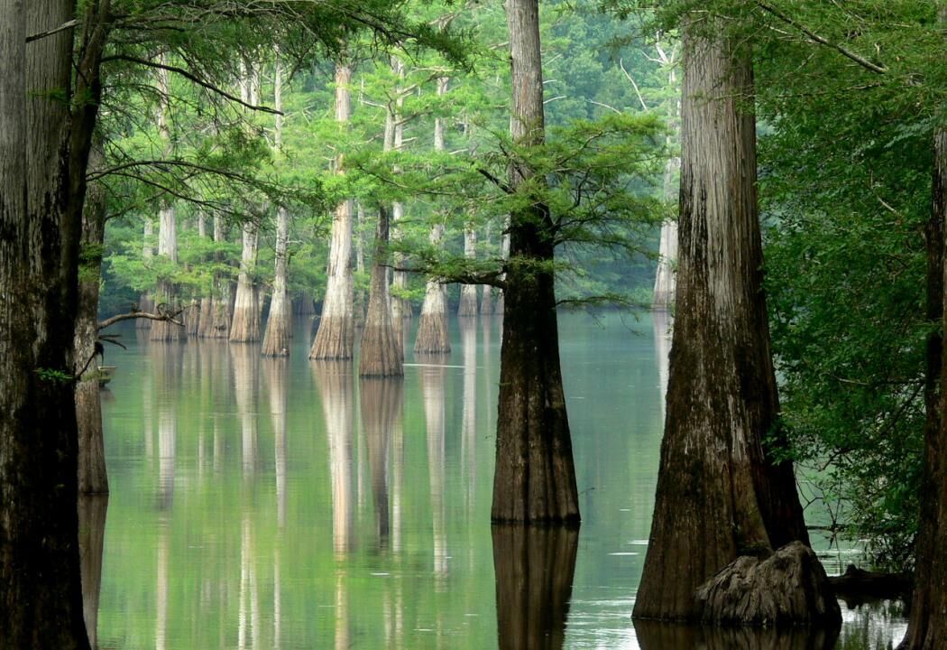 Arkansas